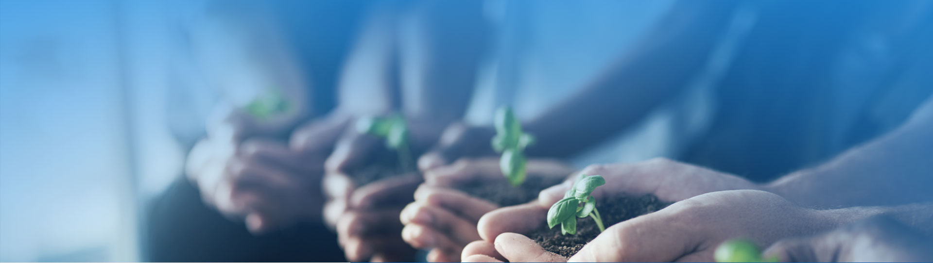 55世纪-购彩大厅welcome(中国游)官方网站